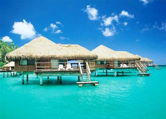 Casas de estructura de acero con decoración de madera, Kits de casas prefabricadas tipo bungalow